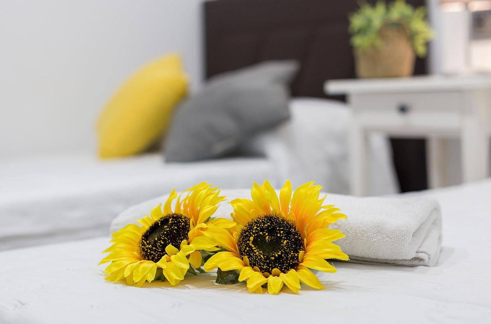 Apartments Vistas Mar Bahia 加的斯 外观 照片